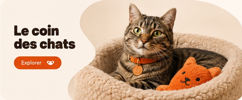 Un chat tigré installé dans un panier beige