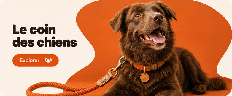 Un chien brun allongé avec une laisse orange