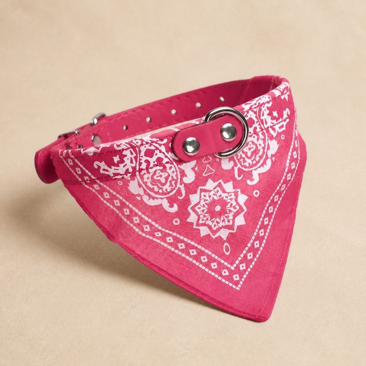 Collier bandana Sirocco — rose