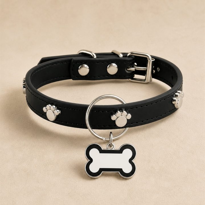 Collier médaille Orion — noir