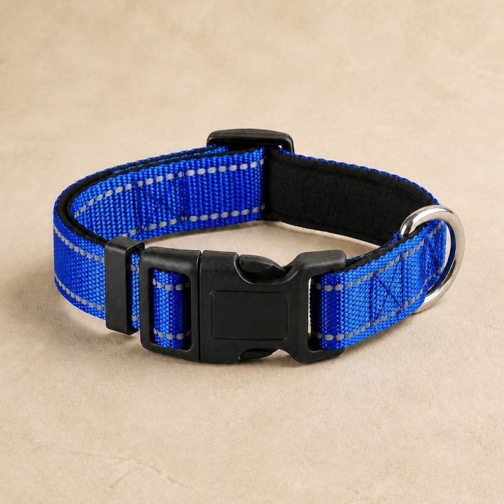 Collier réfléchissant Éclipse — bleu