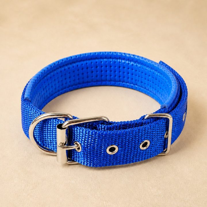 Collier rembourré Rando — bleu