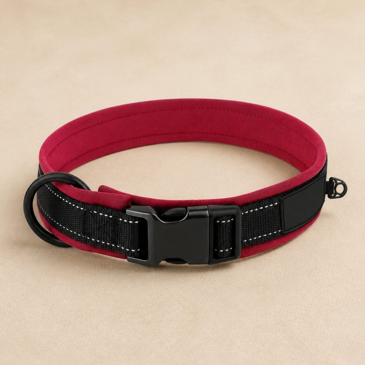 Collier sport personnalisé Trail — rouge