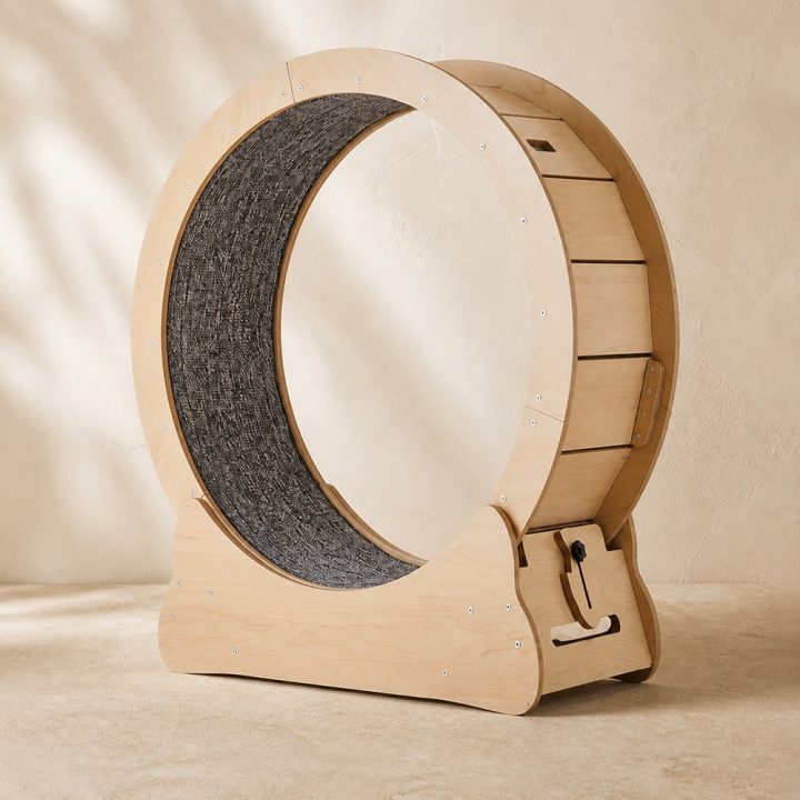 Roue Horizon — photographie Museau Club