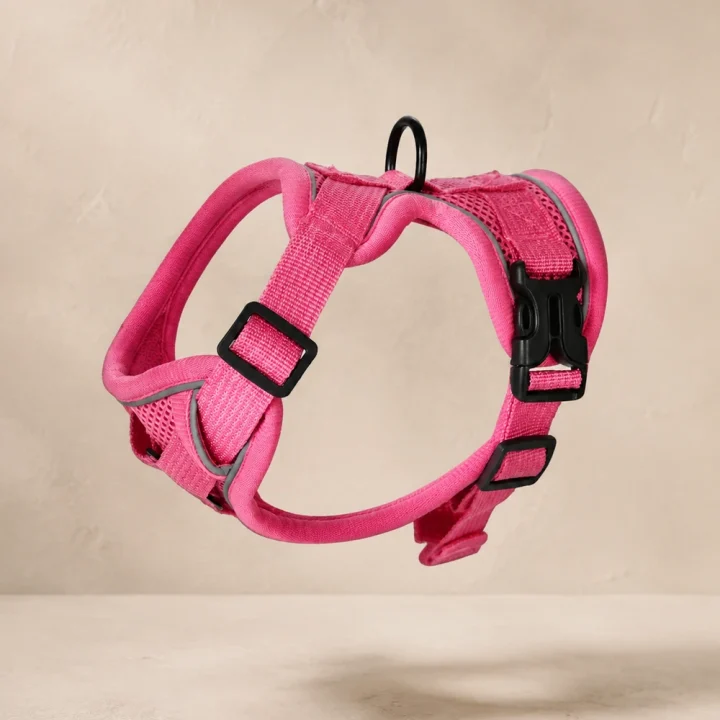 Harnais sangle Pulse coloris Rose vif Museau Club
