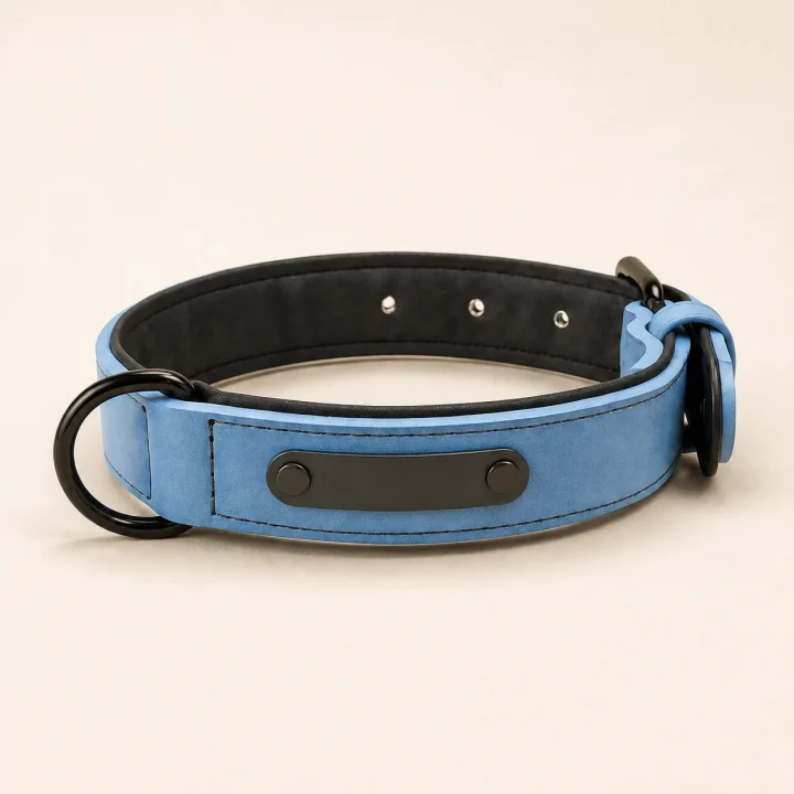 Collier fin Rivage sur fond crème, photographie de présentation Museau Club
